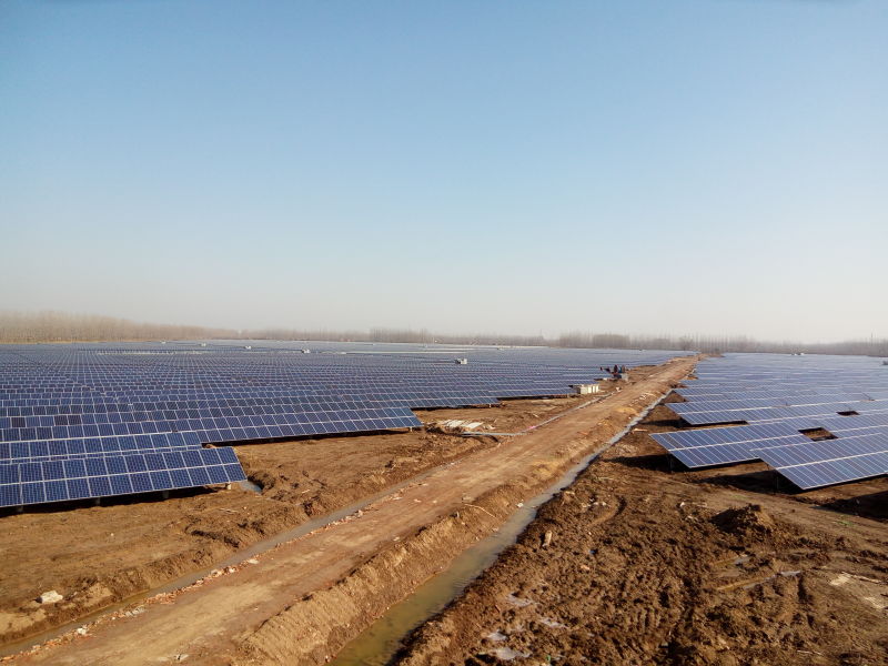 ����鿴��