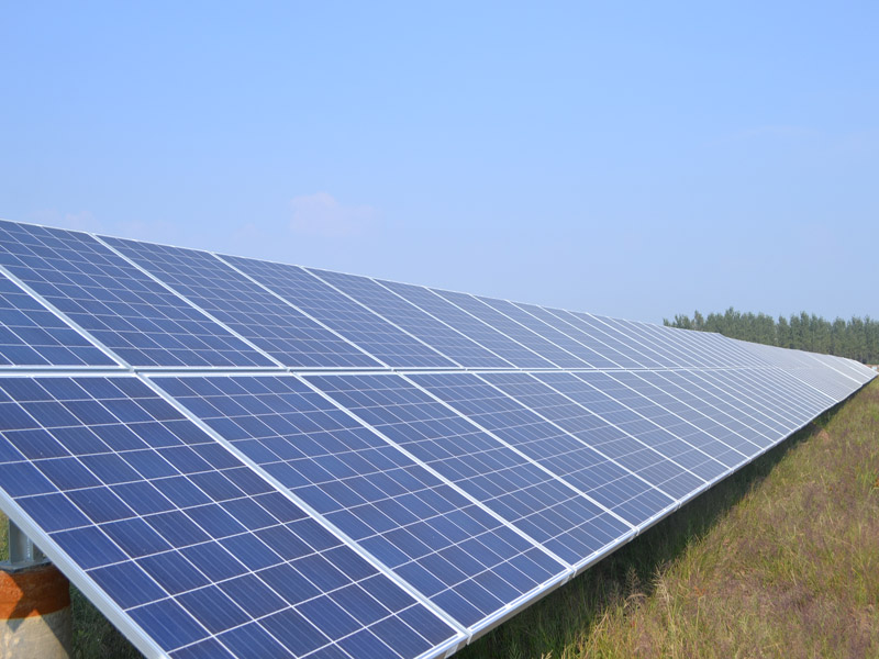 ����鿴��